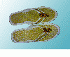 slipper from WINDOWFASHIONSINDIA, ALAPPUZHA, INDIA